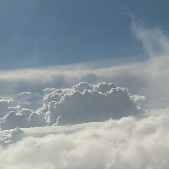 Meet your Posher, Lupe - Picture 1 of 1